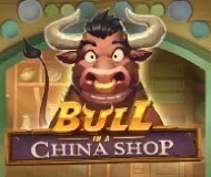 bull china shop