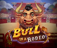 bull in a rodeo